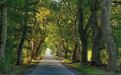 Allee 3Platz2025 MKreckelFroebel 400x248