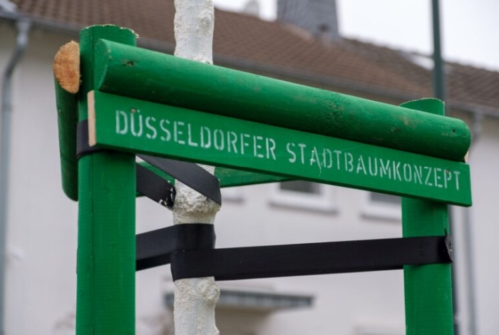 Düsseldorf Foto MarianZempel