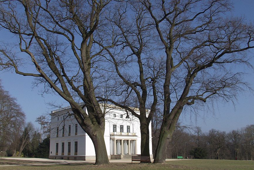 Baumbiologie und Baumpflege