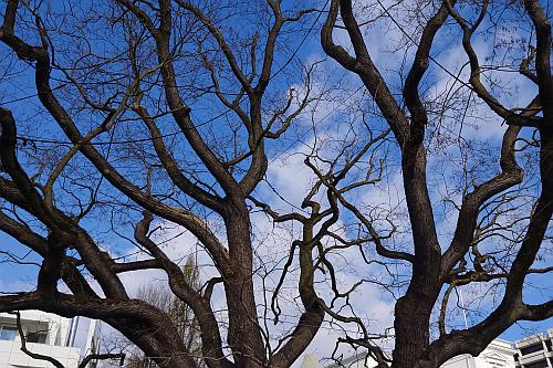 Abb04 HH2026 Foto Stefan vonZedlitz 400x267