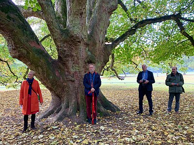 Abb 04 HH2020 Bergahorn Foto Dujesiefken 201023 IMG 0369 400x300