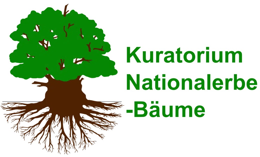 Logo Kuratorium Naturerbebaeume
