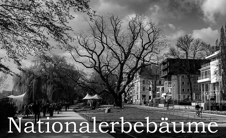 Nationalerbebäume