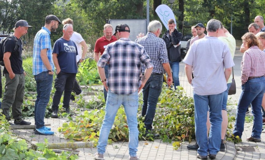 Osnabrücker Baumpflegetage