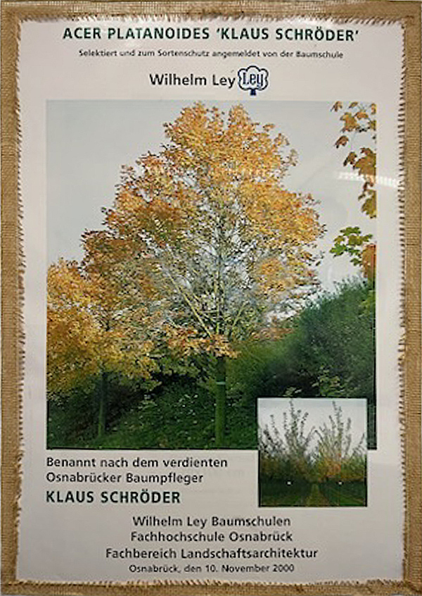 Urkunde A plat KlausSchroeder 20001110 600x846