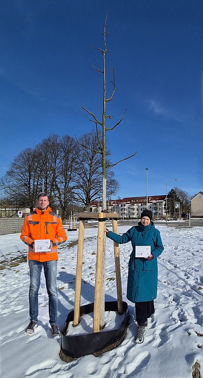 Abb13c JubiBaum Rostock 2026 400x742