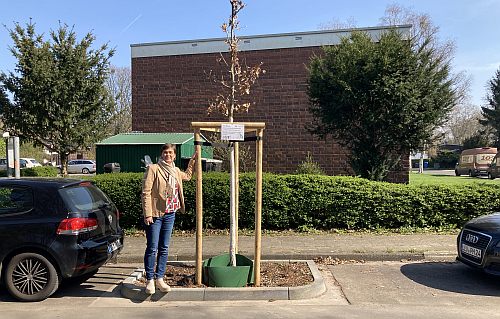 Abb17a Pflanzung Leverkusen 500x319