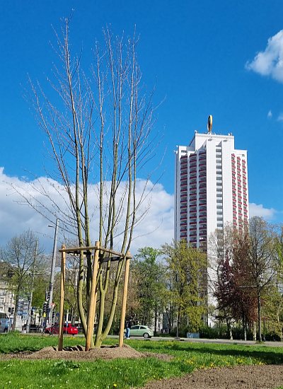 Abb20 Pflanzung Leipzig 20260421 400x550