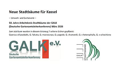 Abb21b Schild 50J AK Kassel 400x281