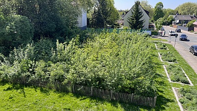 1a Bsp urbaneMiniwaelder Essen IMG1838 400x225