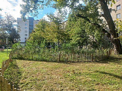 1b Bsp urbaneMiniwaelder Wien 20241011 104557 400x300