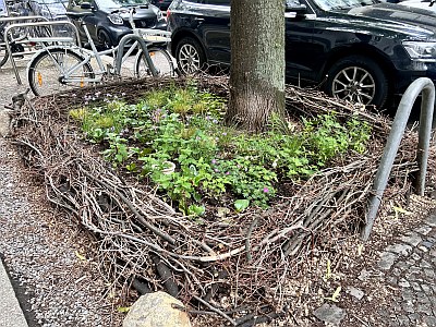 02c Baumfoerderstudie Pinkelstein InitiativeFritschestr 400x300