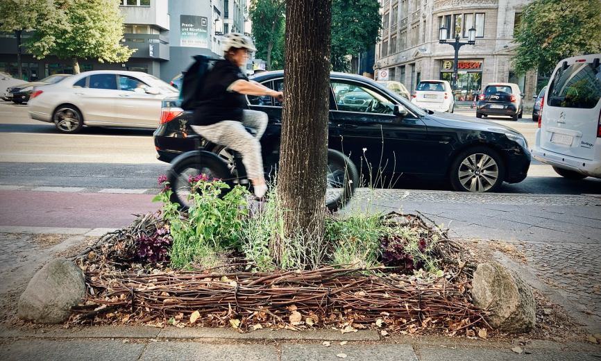 Baumförderstudie 2025