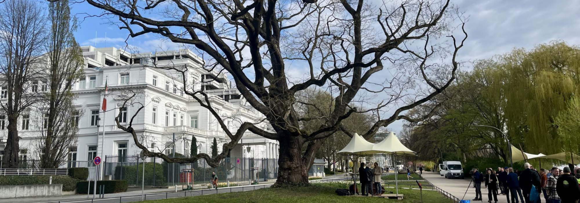 Zweiter Nationalerbebaum in Hamburg