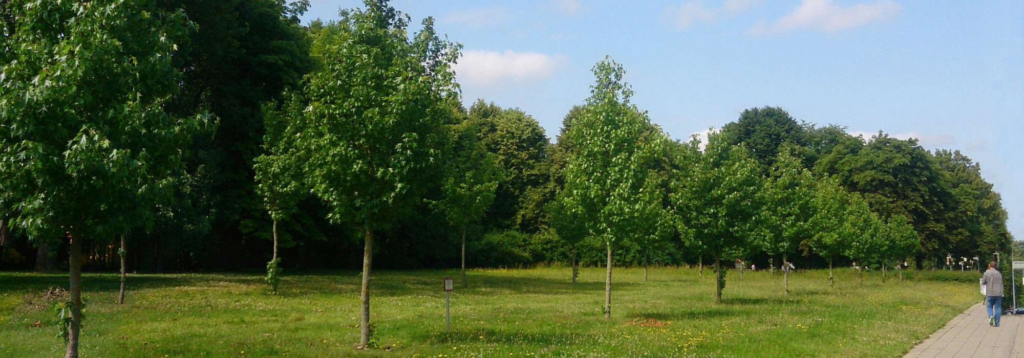 GALK und BdB stellen neue Broschüre vor