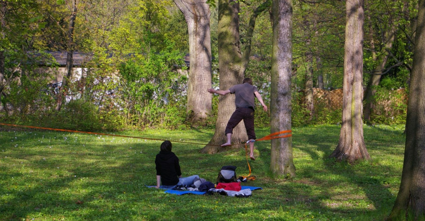 Gurt ohne zusätzlichen Stammschutz