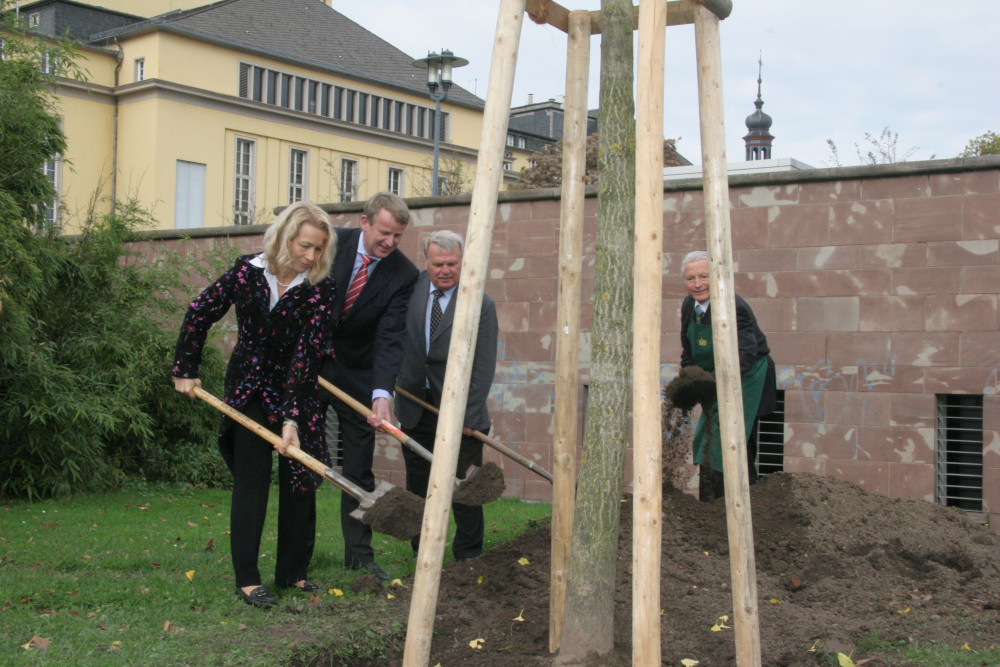 Goldener_Ginkgo_081020_007