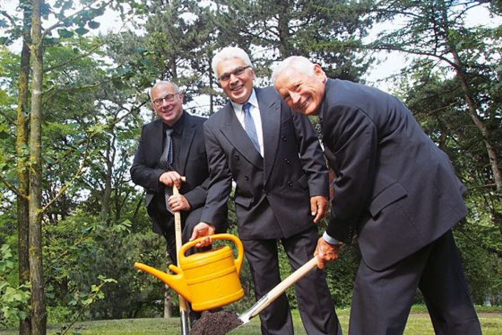 2014_02_Goldener_Ginkgo_2014