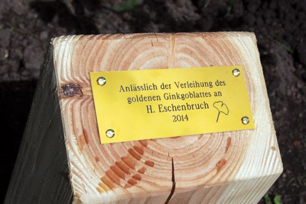 2014_04_Goldener_Ginkgo_2014