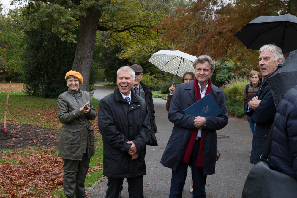 Goldener_Ginkgo_171023_016