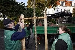 bsu mbms 111025 314 263x176