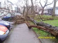 sturm koeln03 Foto Bauer 190311 200x150