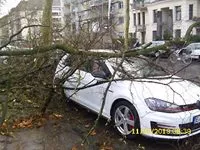 sturm koeln01 Foto Bauer 190311 200x150