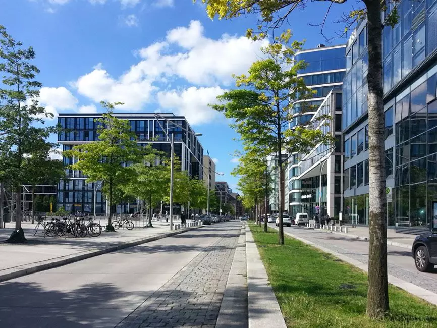 Forschungsvorhaben SiK - Stadtb&auml;ume im Klimawandel