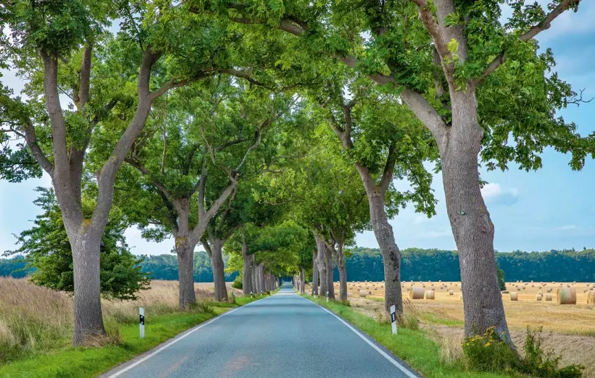 Alleen in Deutschland