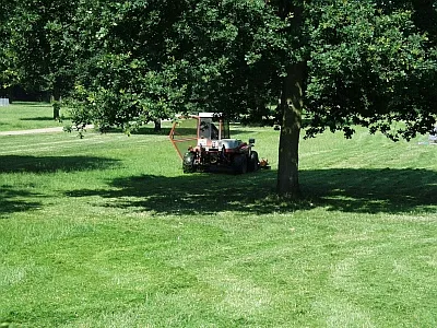 GruenflManagement 2005 P7130716 400x300