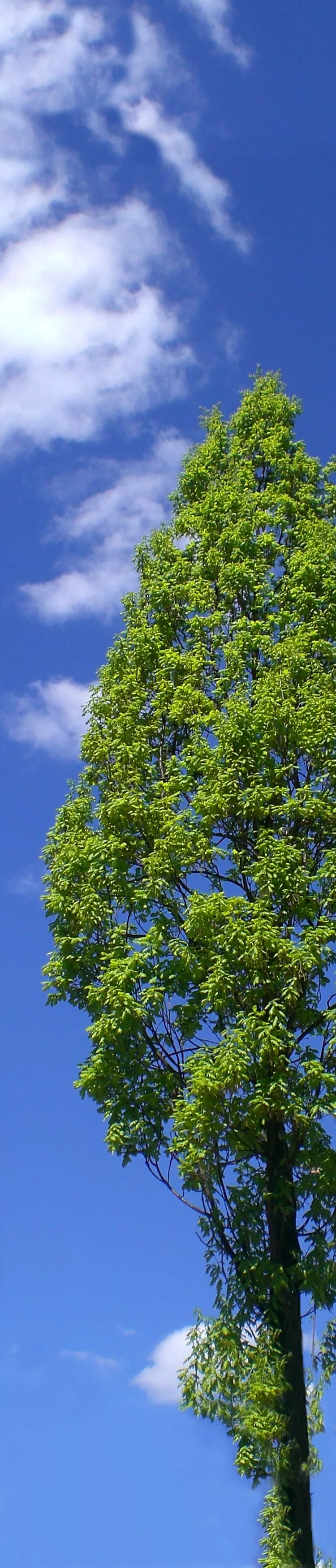 Foto Erlaeuterungsseite01