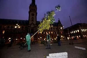 bsu mbms 111025 006 300x201