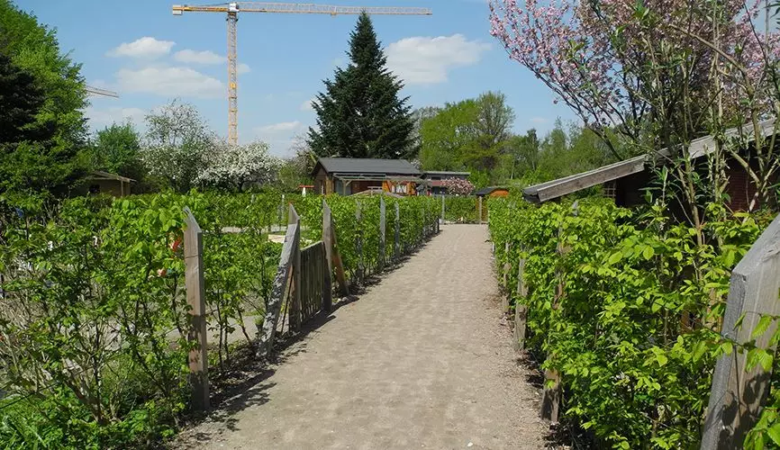 Kleingarten: Verdichtung hat Vorrang vor Neubau