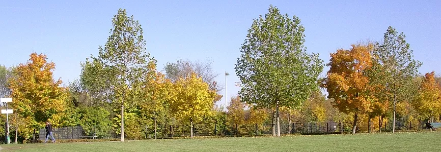 Park Muenchen Foto Doobe DSCN2213 866x300