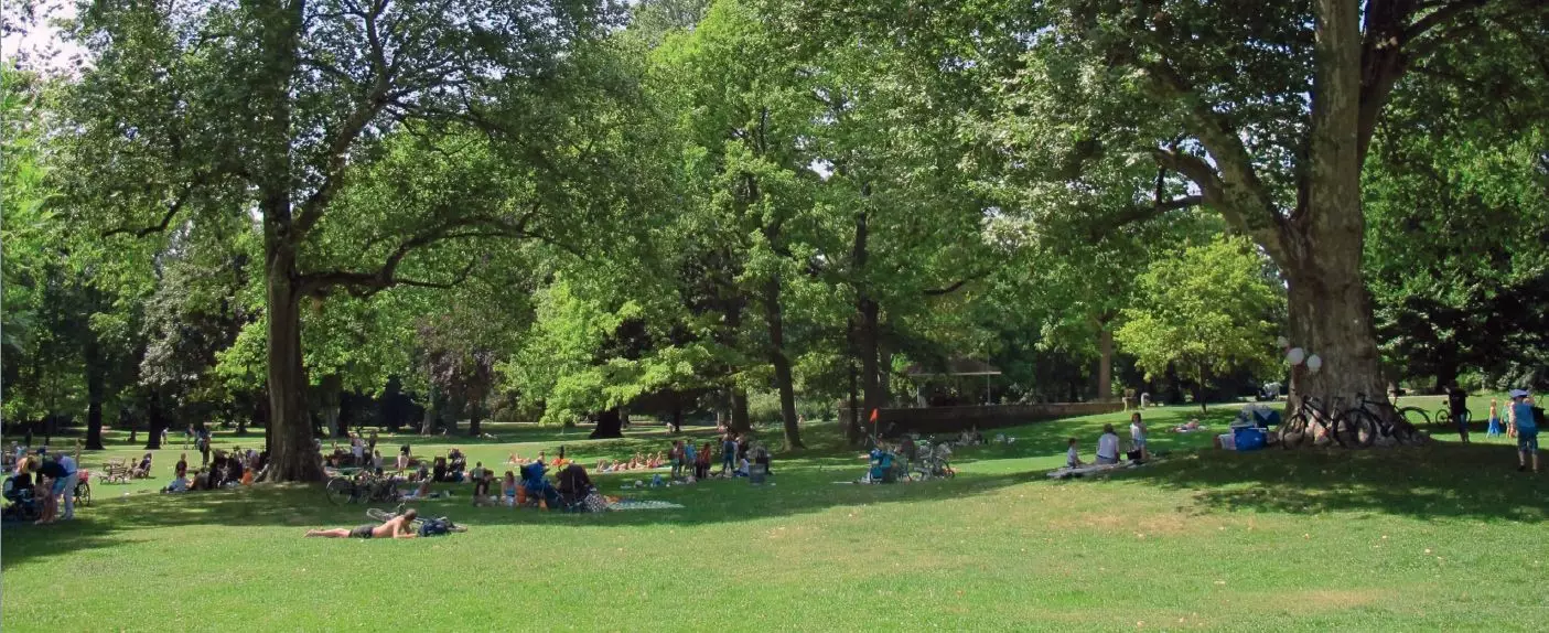 Wei&szlig;buch Stadtgr&uuml;n