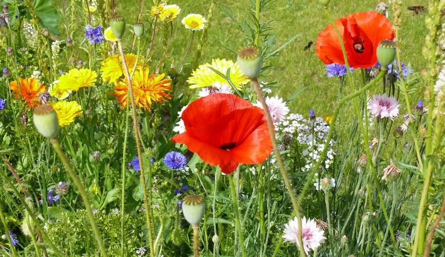 Interview mit dem GALK-Pr&auml;sidenten