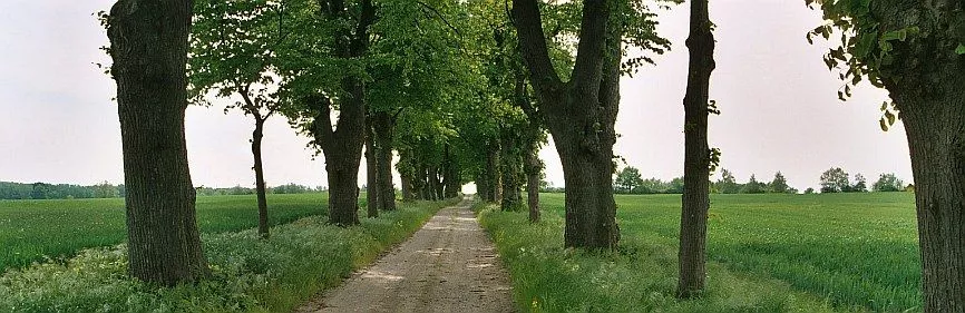 Allee4 Foto Doobe 866x281