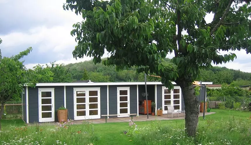 Baumschutz versus Gartenordnung