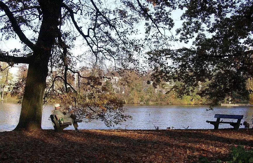 Stadtgr&uuml;n-Bewertungstool